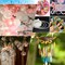 Clear Fishing Wire,755FT Monofilament Fishing Line,Clear String for Hanging,Strong Clear Wire Invisible Nylon Thread for Hanging Balloon,Garland,Picture,Crafts,Decorations,Suitable for Beading Sewing